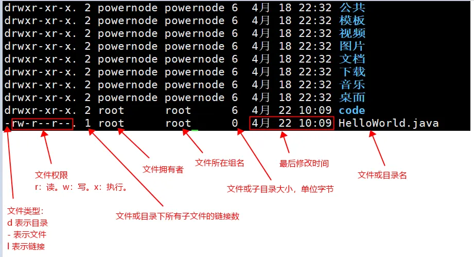 ls命令解释